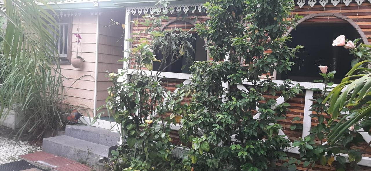 Les Anones Lägenhet Saint-Gilles-les Bains Exteriör bild